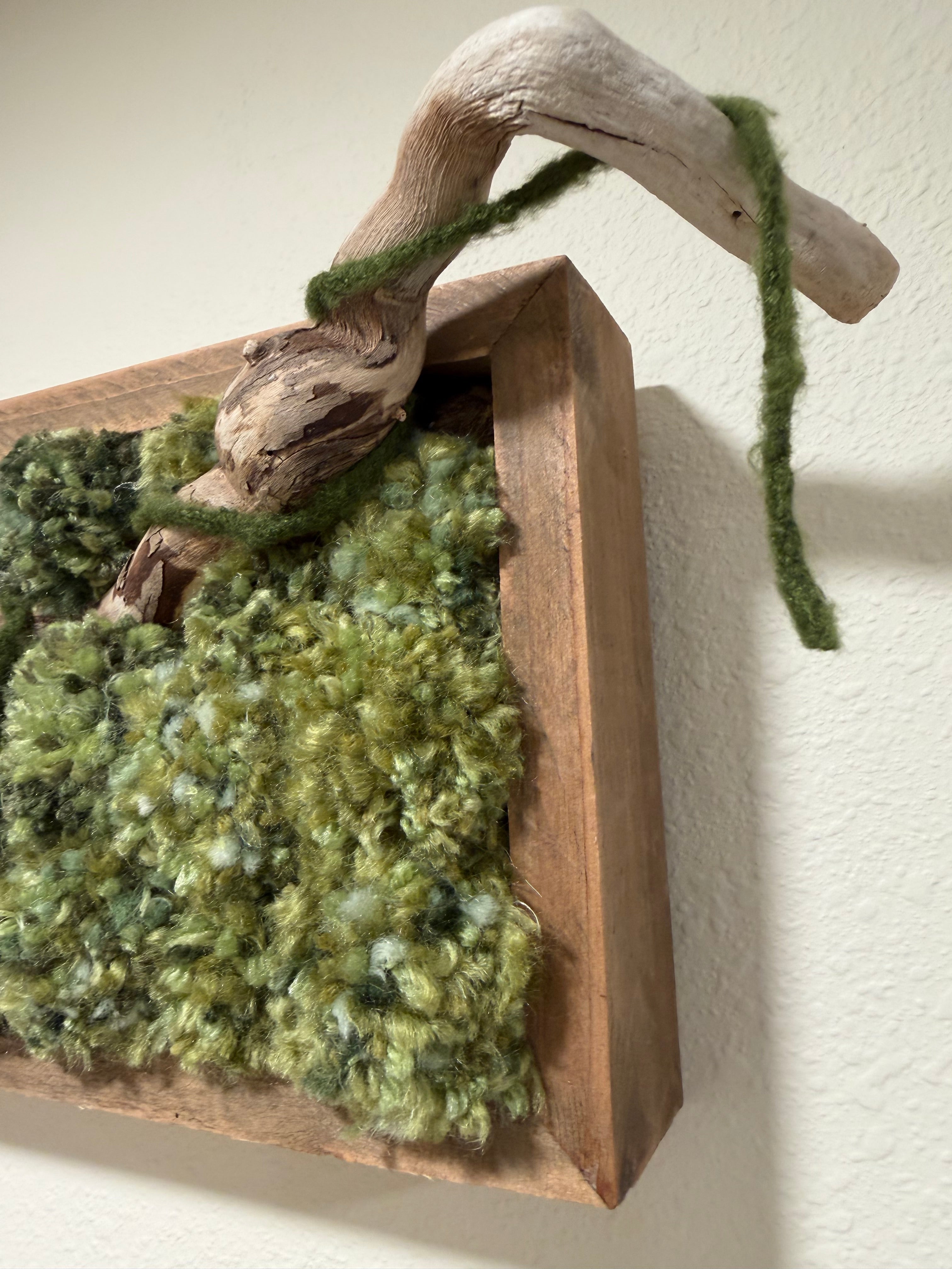 Among the Moss