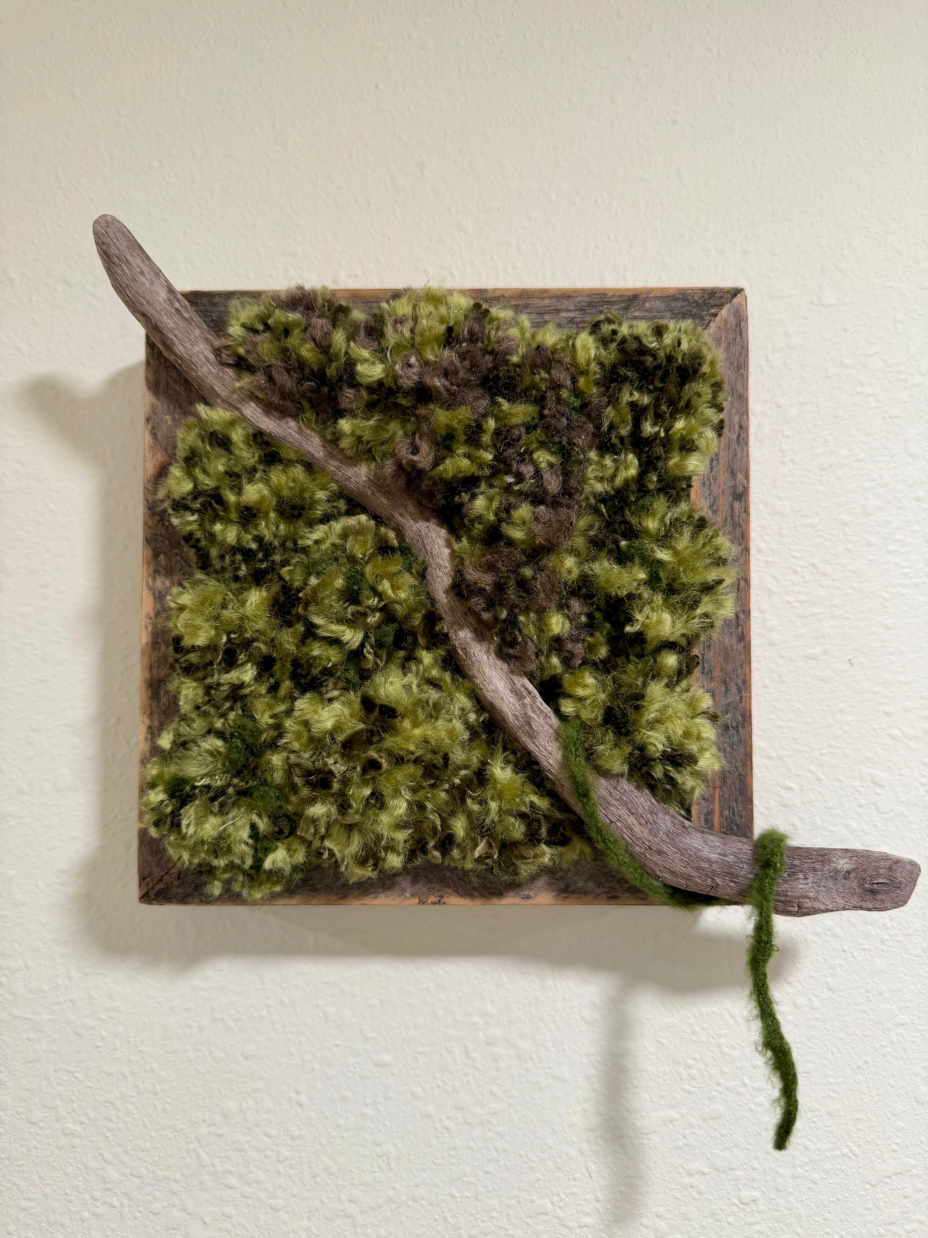 Drifting Through the Moss