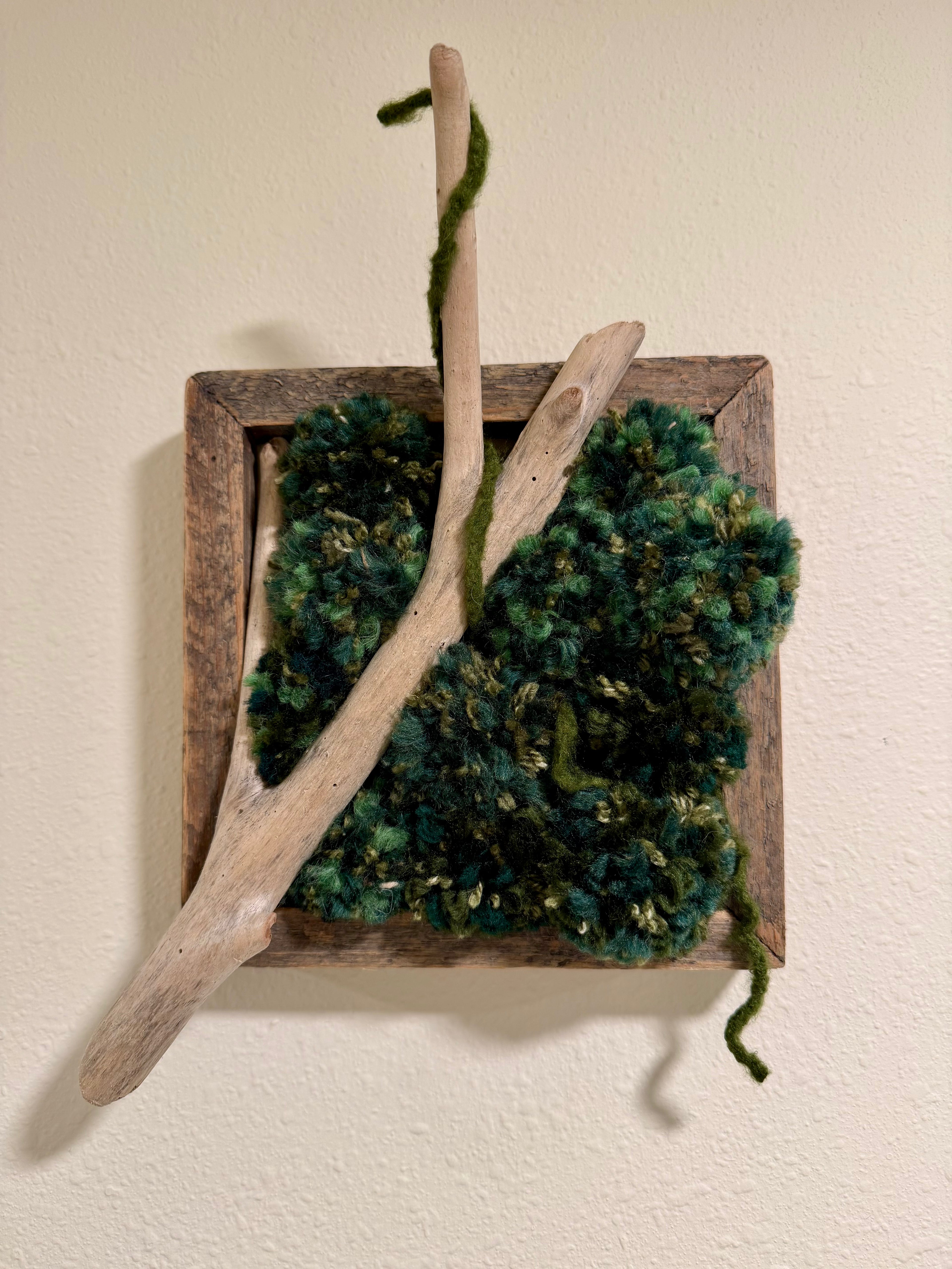 Whisper of the Woods