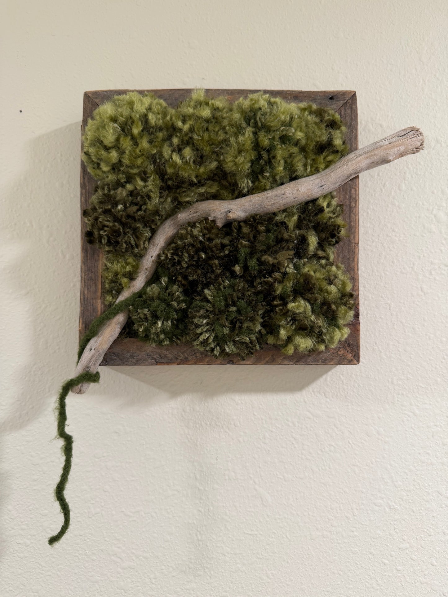 Drifting Through the Moss