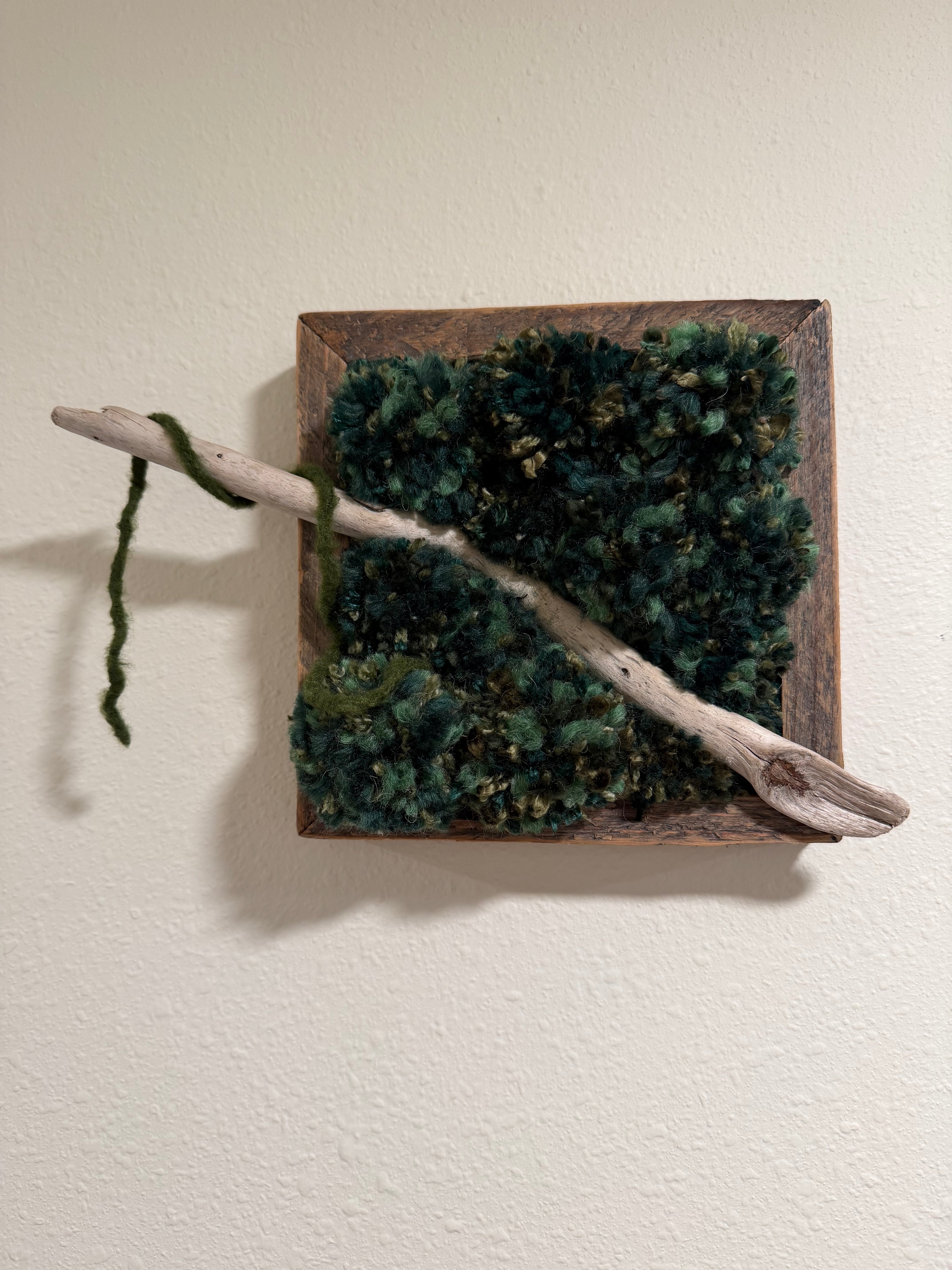 Whisper of the Woods